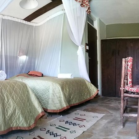 Osoita Lodge 나이로비 객실 사진
