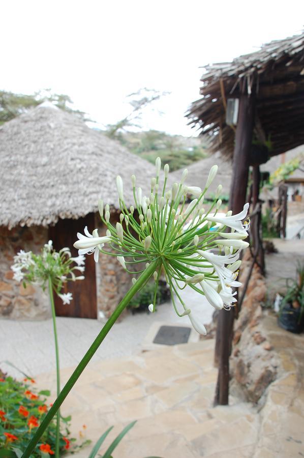 Osoita Lodge 나이로비 외부 사진