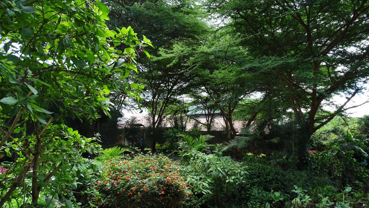 Osoita Lodge 나이로비 외부 사진