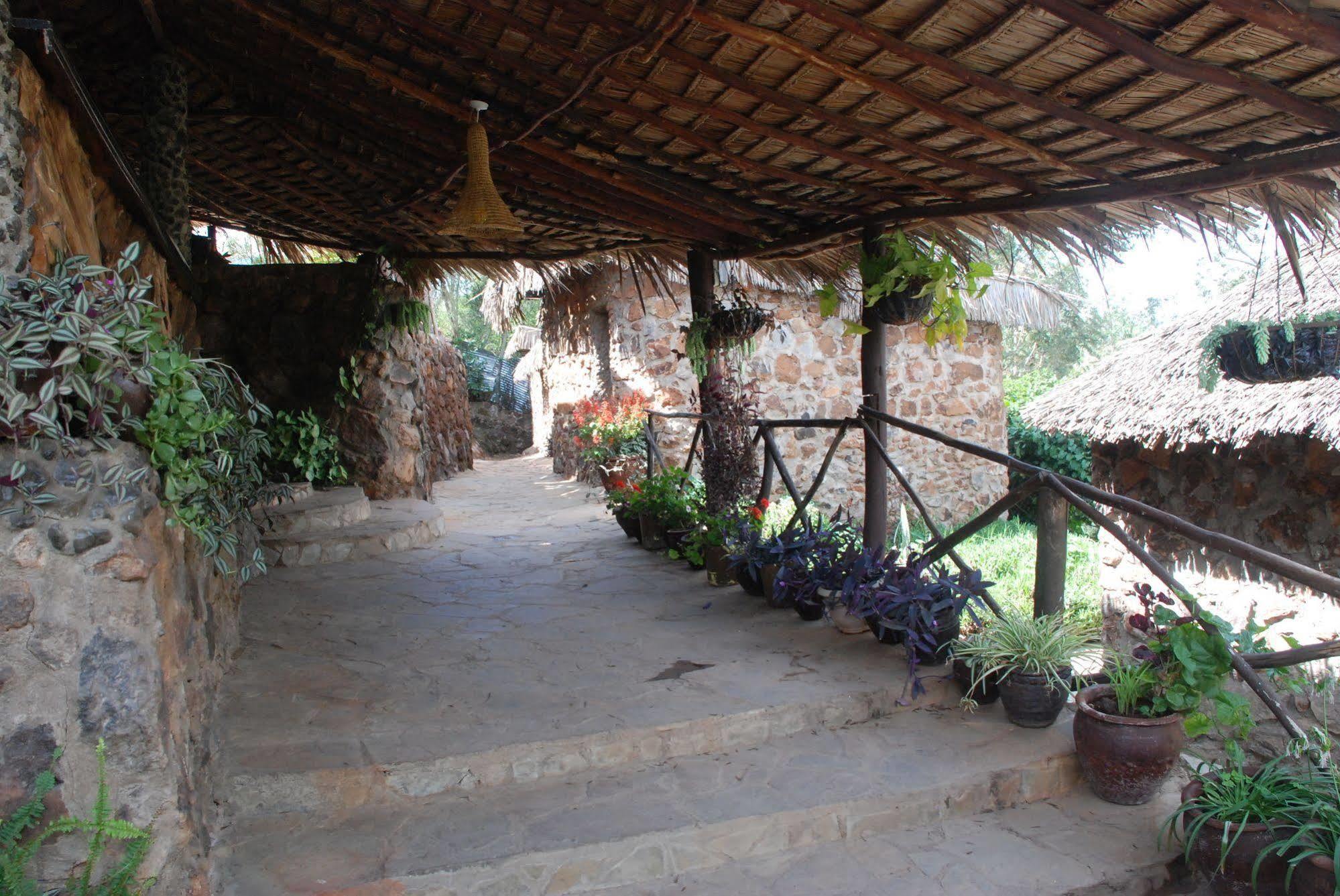 Osoita Lodge 나이로비 외부 사진